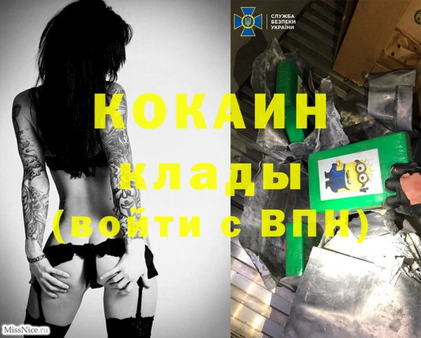 эйфоретик Анива