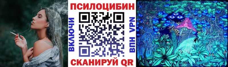 Псилоцибиновые грибы мухоморы  hydra рабочий сайт  Новоузенск  наркота 